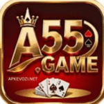 A55 Game