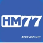 HM77 Game